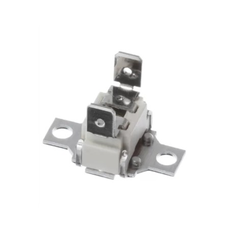 Termostato Horno 110C 10004817