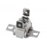 Termostato Horno 110C 10004817