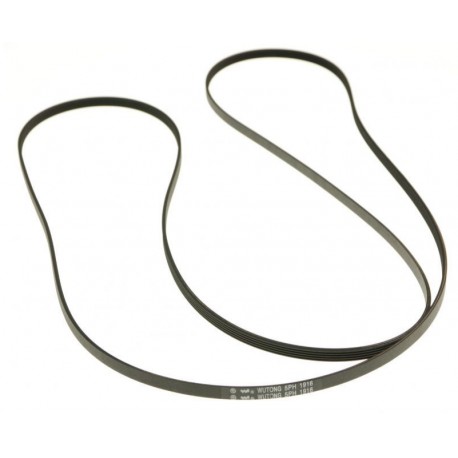 Correa secadora 1916 H5