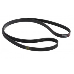 Correa lavadora 1255 5PJE 00678915