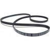 Correa 1228 6EPH