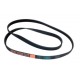 Correa 1158 J5