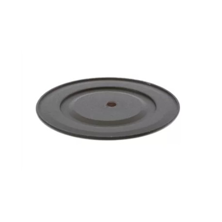 Tapa quemador 12012598