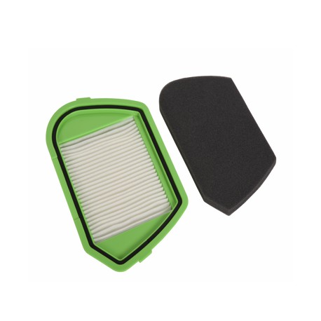 Conjunto filtros aspirador Rowenta ZR005501